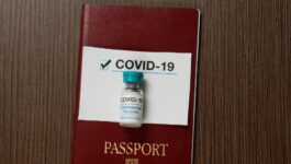 Hajdu says G7 countries including Canada agree on need for vaccination passport collaboration: report