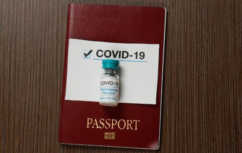 Hajdu says G7 countries including Canada agree on need for vaccination passport collaboration: report