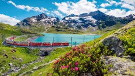 Sign up for the new Swiss Travel System Excellence Program