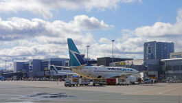 Halifax airport CEO hopes for more on site COVID testing 'sooner rather than later