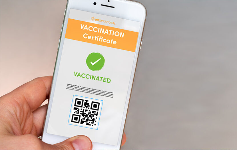 Strongest indication yet that vaccination certificates are the way forward for Canadians travelling internationally: Hajdu