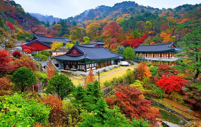 Register now to become a Korea Destination Specialist