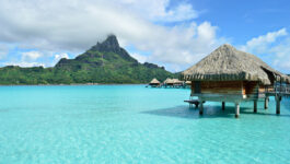 Register now for this year’s Tahiti Specialist Conference