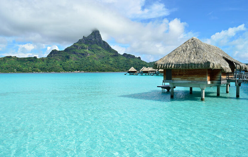 Register now for this year’s Tahiti Specialist Conference