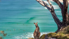 Register now for Tourism Australia webinar, April 7