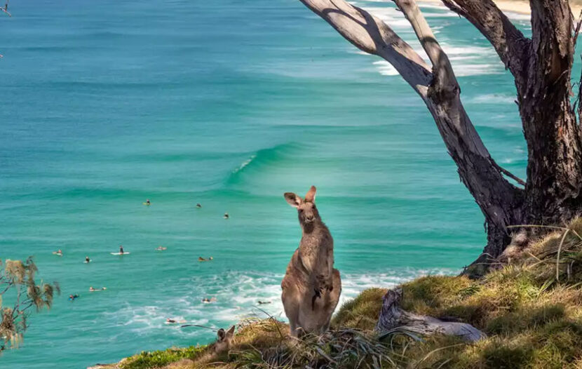 Register now for Tourism Australia webinar, April 7