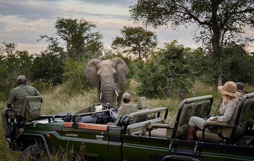 African Travel launches ‘Why Safari’ campaign, webinar series