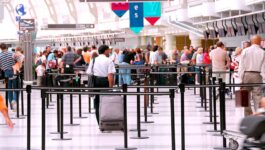 117 million international arrivals recorded in Q1, says UNWTO