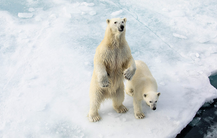 Quark Expeditions extends Arctic 2022 season through September