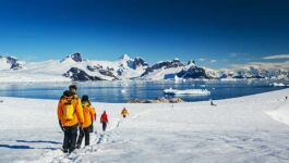 Quark Expeditions’ Polar Promo Sale is back with up to 40% off