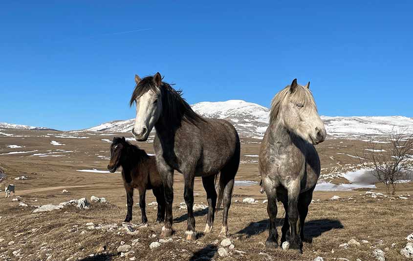 Bosnia & Herzegovina Expedition new and now available with Intrepid