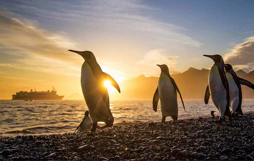 Lindblad Expeditions-National Geographic unveils eight new epic voyages