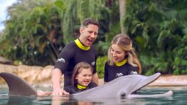Orlando’s Discovery Cove announces free gift card offer per guest