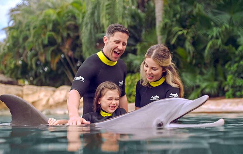 Orlando’s Discovery Cove announces free gift card offer per guest
