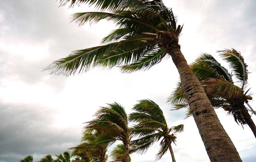 Hurricane Lee Charges over Atlantic Waters as a Category 5 Storm,  Approaching the Caribbean