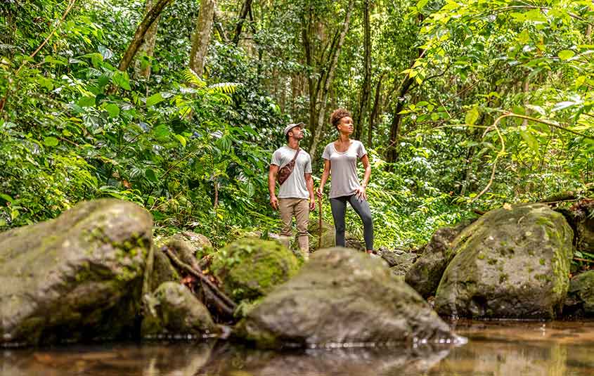 “Canadians love our authentic Caribbean experience”: St. Kitts & Nevis