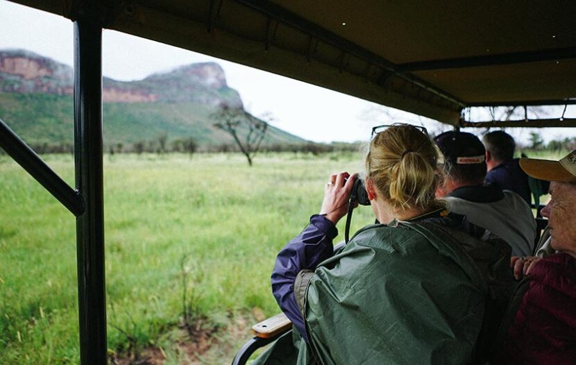 Bookings open for Collette’s new safari tour