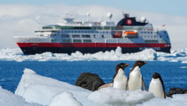 Fram-Brown-Bluff-Antarctica-Photo_Yuri_Matisse_Choufour_Hurtigruten Expeditions