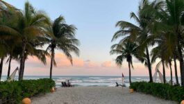 Sandos Hotels & Resorts: One brand, four unique all-inclusive Mexico properties