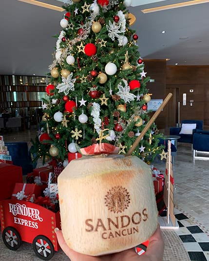 Sandos Hotels & Resorts: One brand, four unique all-inclusive Mexico properties