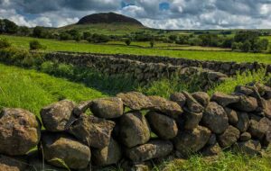 Sláinte! Royal Irish Tours and Tourism Ireland toast to sold-out tours and ongoing recovery