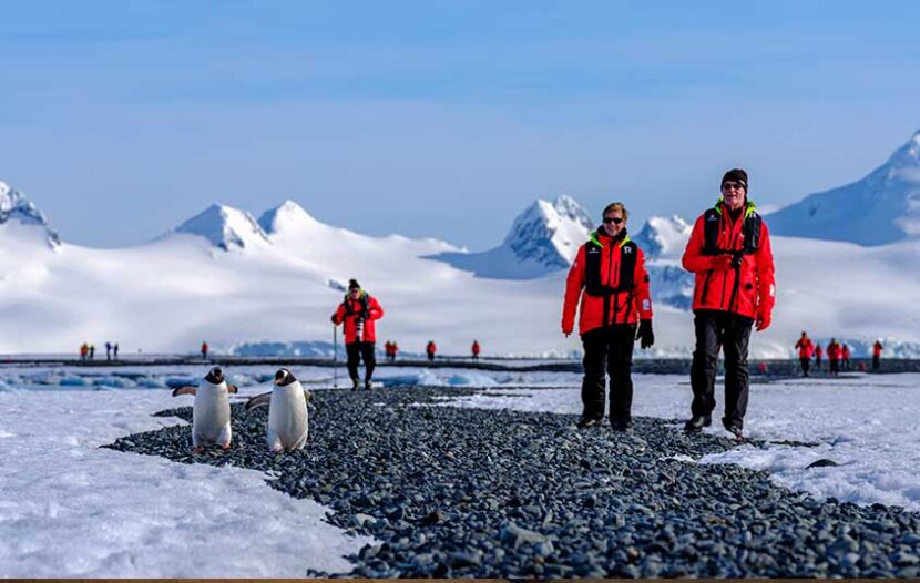 Hurtigruten Expeditions celebrates Travel Advisor Appreciation Day early with new promotion