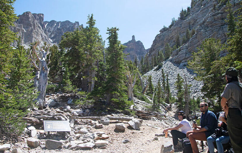 Embark on an unforgettable road trip along Nevada’s stunning Great Basin Highway