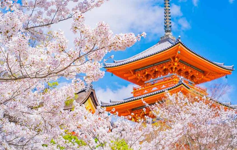 Goway announces Japan Odyssey packages with guaranteed departures following high demand