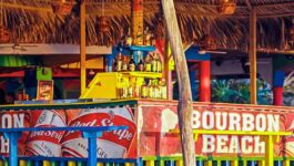 Offbeat attractions - and hidden gems - just waiting to be explored in Negril