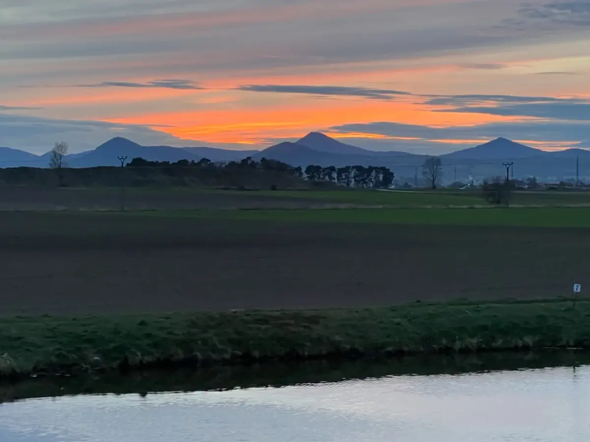 elegant elbe river cruise