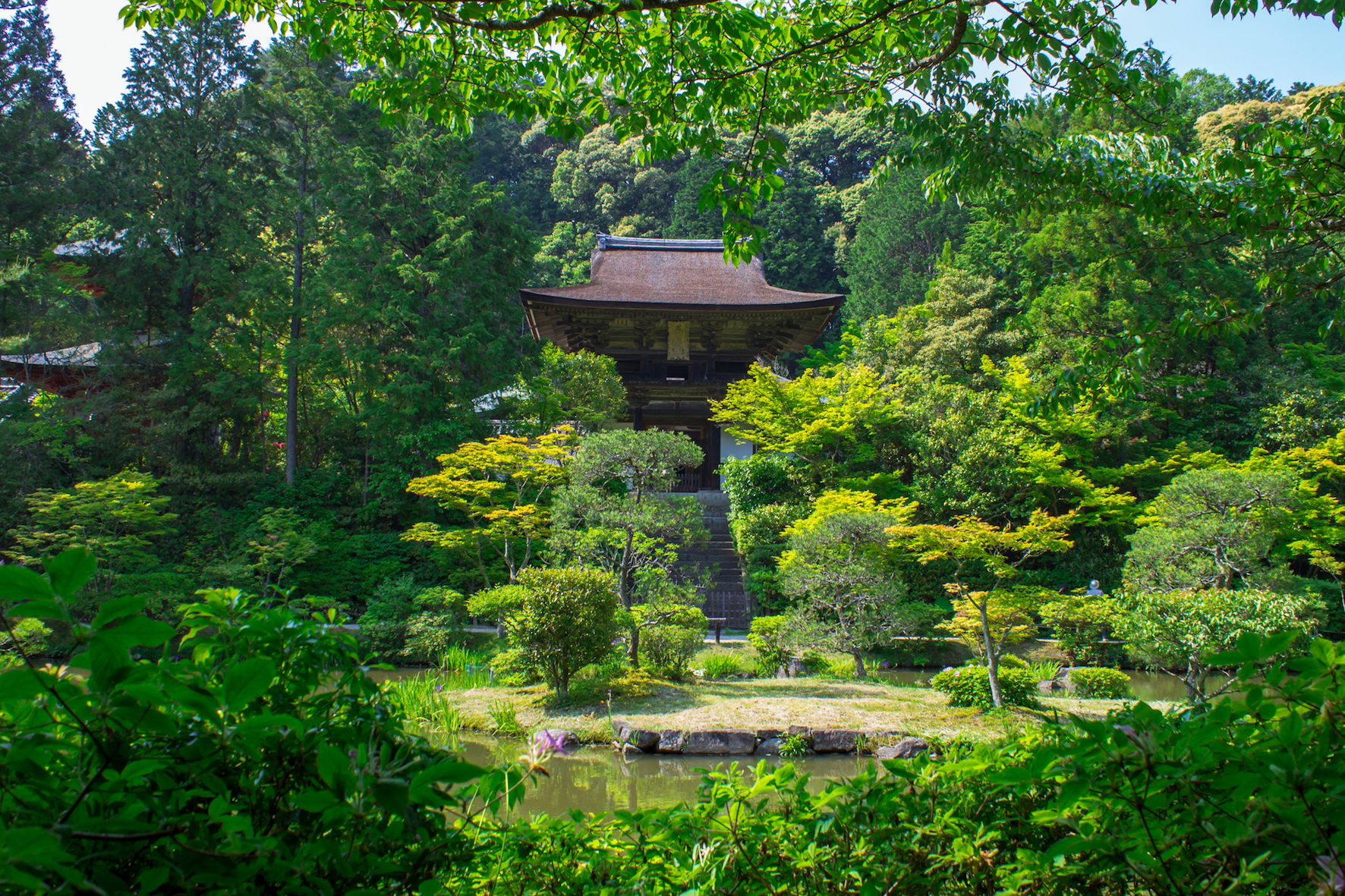 canadian tourist in japan