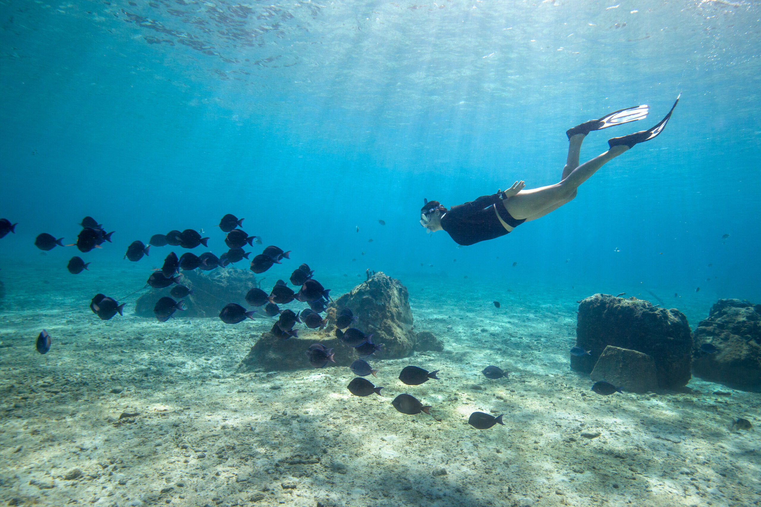 Sunwing and Vacances WestJet Québec launch direct Montreal flights to Cozumel